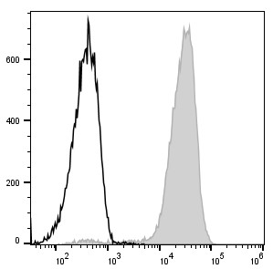PerCP/Cyanine5.5 Anti-Mouse/Human CD11b Antibody[M1/70] (E-AB-F1081J)