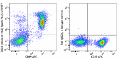 Spark PLUS UV395™ anti-mouse CD24 Antibody (101855)
