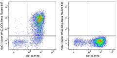 Alexa Fluor® 647 anti-Nos2 (iNOS) Antibody (696811)