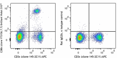 Brilliant Violet 510™ anti-mouse CD8b (Ly-3) Antibody (126631)