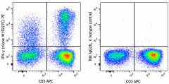 PE anti-human IFN-γ Antibody (383404)