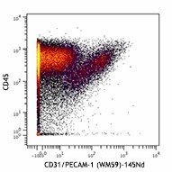 Purified anti-human CD31 (Maxpar® Ready) Antibody (303127)