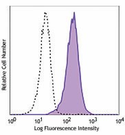 APC anti-NF-κB p65 Antibody (653005)