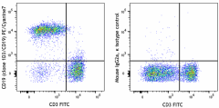 PE/Cyanine7 anti-mouse CD19 Antibody (152417)