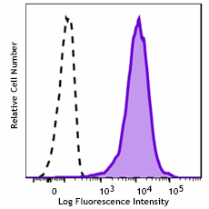 Brilliant Violet 421™ anti-rat CD25 Antibody (202115)
