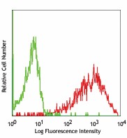 Biotin anti-rat CD86 Antibody (200303)