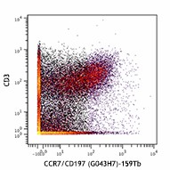 Purified anti-human CD197 (CCR7) (Maxpar® Ready) Antibody (353237)