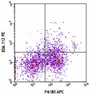 PE anti-mouse CD169 (Siglec-1) Antibody (142403)