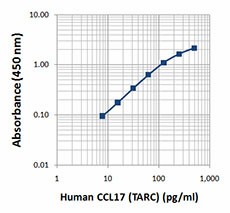 Purified anti-human CCL17 (TARC) Antibody (523002)