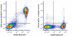 Ultra-LEAF™ Purified anti-mouse CD20 Recombinant Antibody (161407)