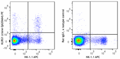 PE anti-mouse KLRG1 (MAFA) Recombinant Antibody (164903)