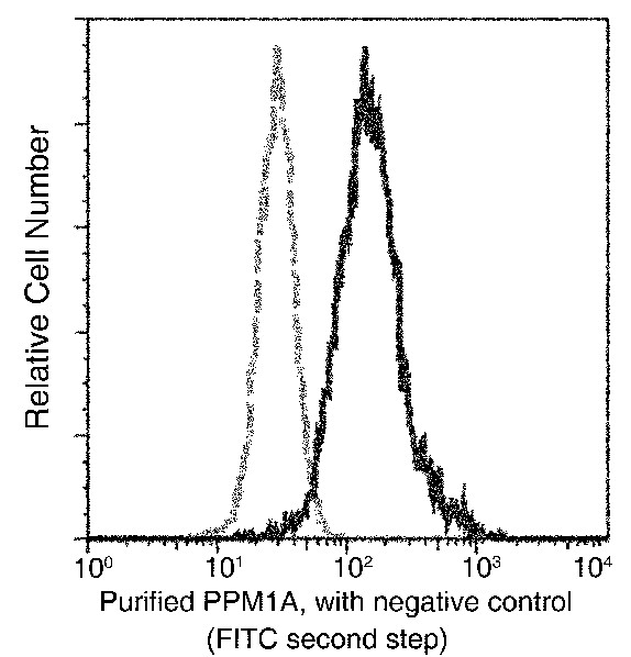 PPM1A/PP2CA/PP2C-alpha Monoclonal Antibody (AN200133P)