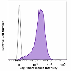 Purified anti-human CD105 (Endoglin) Recombinant Antibody (366002)