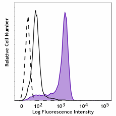 PE anti-CREB1 Phospho (Ser133) Antibody (632555)