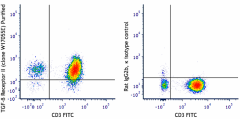 Purified anti-human TGF-β Receptor II Antibody (399702)