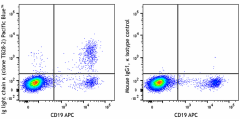 Pacific Blue™ anti-human Ig light chain κ Antibody (392717)