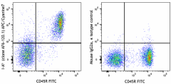 APC/Cyanine7 anti-mouse I-Ab Antibody (116425)