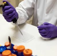 Вторичные антитела Abcam