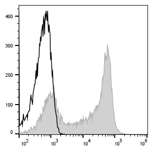 PE Anti-Human CD62L Antibody[DREG56] (E-AB-F1051D)