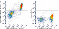PE/Fire™ 640 anti-mouse I-A/I-E Antibody (107663)