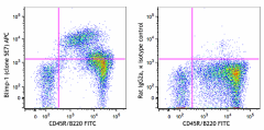APC anti-mouse Blimp-1 Antibody (150007)