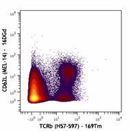Purified anti-mouse CD62L (Maxpar® Ready) Antibody (104443)