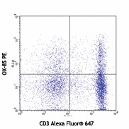 PE anti-rat CD62L Antibody (202912)