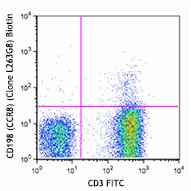 Biotin anti-human CD198 (CCR8) Antibody (360606)