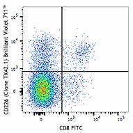 Brilliant Violet 711™ anti-mouse CD226 (DNAM-1) Antibody (133609)