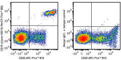 PerCP/Fire™ 806 anti-human CD19 Antibody (302293)