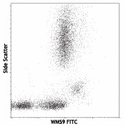 Purified anti-human CD31 Antibody (303101)