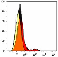 PE anti-human CD337 (NKp30) Antibody (325207)