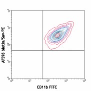 Biotin anti-mouse CD115 (CSF-1R) Antibody (135507)