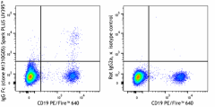 Spark PLUS UV395™ anti-human IgG Fc Antibody (410741)