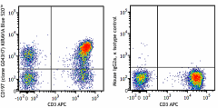 KIRAVIA Blue 520™ anti-human CD197 (CCR7) Antibody (353259)