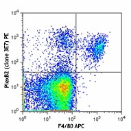 PE anti-mouse Plexin B2 Antibody (145903)