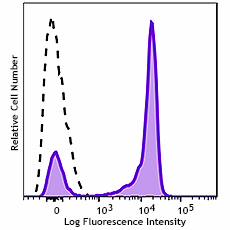 GMP APC anti-human CD27 Antibody (260402)