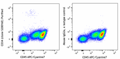 Purified anti-human CD34 Antibody (378602)