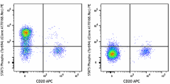 PE anti-STAT5 Phospho (Tyr694) Antibody (936903)