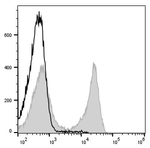 FITC Anti-Mouse TCRβ Antibody[H57-597] (E-AB-F1123C)
