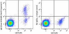 PerCP/Cyanine5.5 anti-human IgD Antibody (307809)