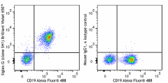 Brilliant Violet 650™ anti-mouse Siglec-G Antibody (163319)
