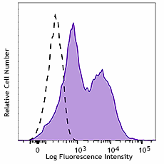 Purified anti-Lck Phospho (Tyr505) Antibody (699701)