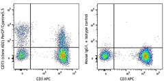 PerCP/Cyanine5.5 anti-human CD73 (Ecto-5'-nucleotidase) Antibody (344013)