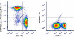 Spark YG™ 581 anti-mouse/human CD45R/B220 Antibody (103281)