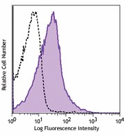 Purified anti-mouse CD39 Antibody (135702)