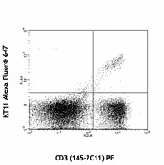 Alexa Fluor® 647 anti-mouse TCR Vβ11 Antibody (125909)