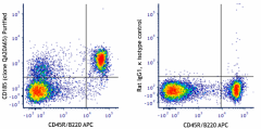 Purified anti-mouse CD185 (CXCR5) Recombinant Antibody (110502)