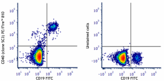 PE/Fire™ 810 anti-human CD40 Antibody (334355)