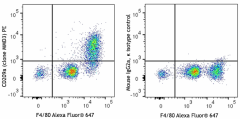 PE anti-mouse CD209a (DC-SIGN) Antibody (833003)
